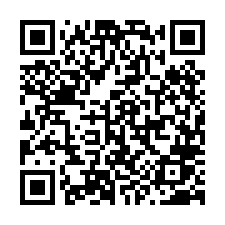 QR code for N950LR