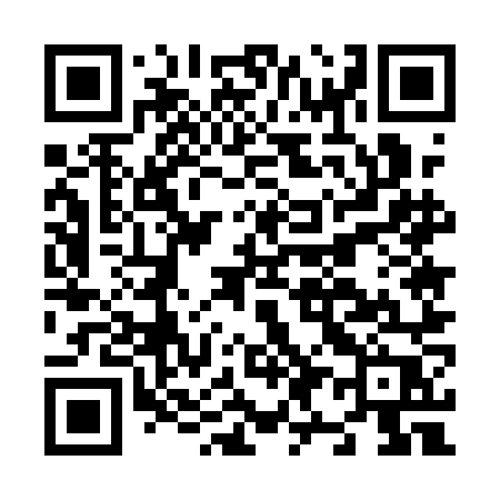 QR code for N951NP