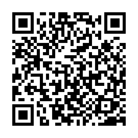 QR code for N9596Y