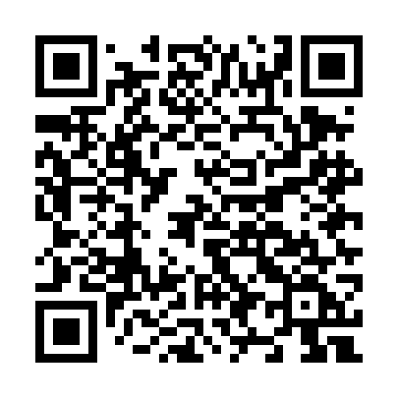 QR code for N95DGF