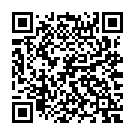 QR code for N95YKI