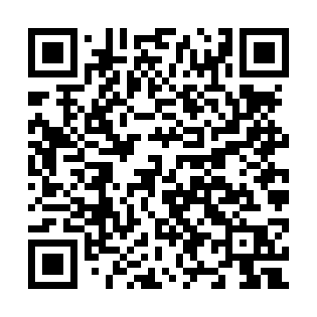 QR code for N96LSP