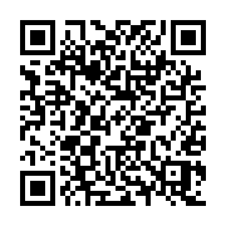 QR code for N96QEP