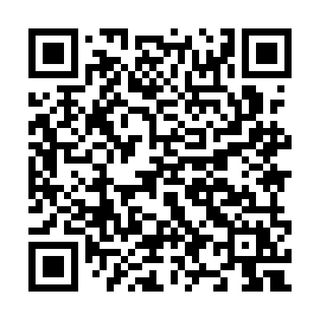 QR code for N991MX