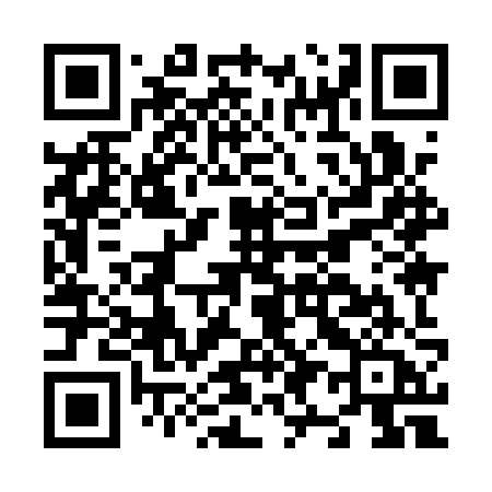 QR code for N991ZA