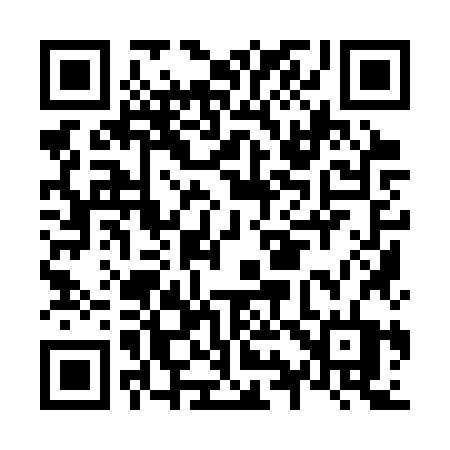 QR code for N993ZT