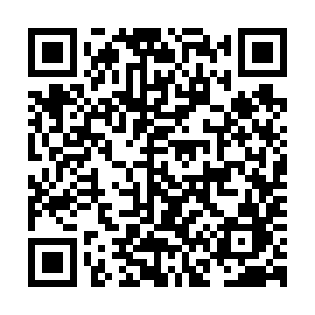 QR code for NF369B