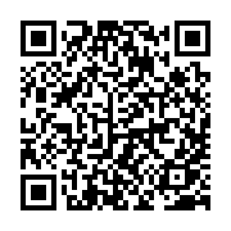 QR code for NG238P
