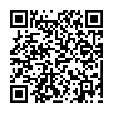 QR code for NI291F