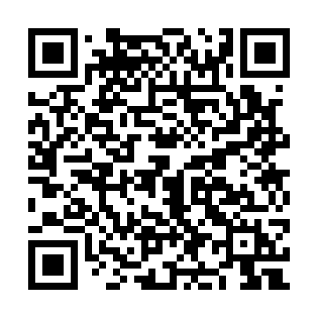 QR code for NI317H