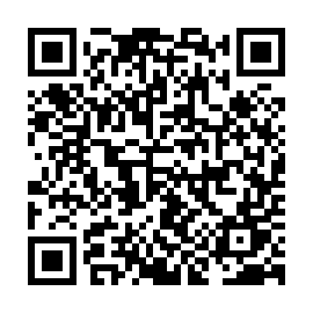 QR code for NI385T