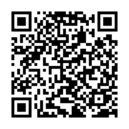 QR code for NL975U
