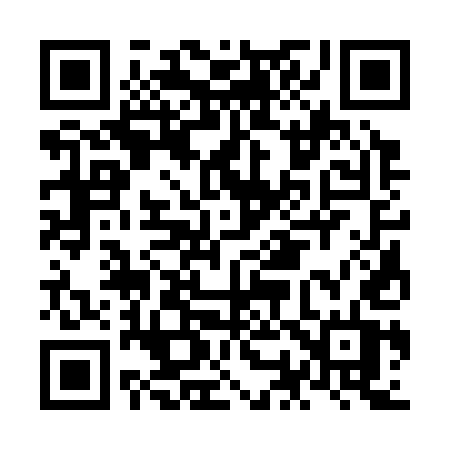 QR code for NO335T