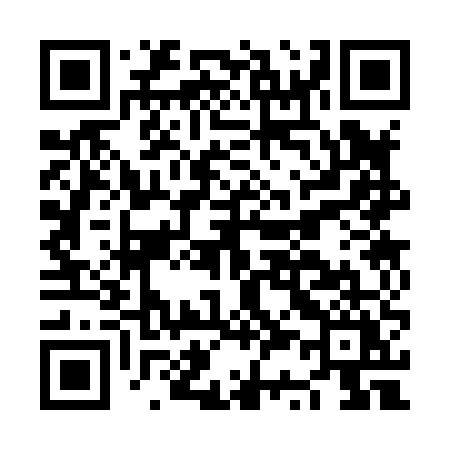 QR code for NS385Y