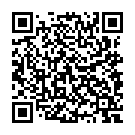 QR code for NS69IV