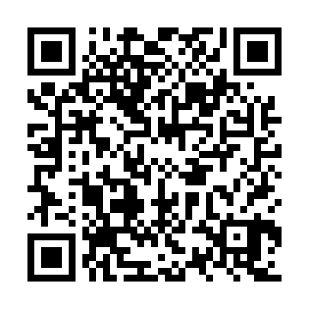 QR code for NSIE20