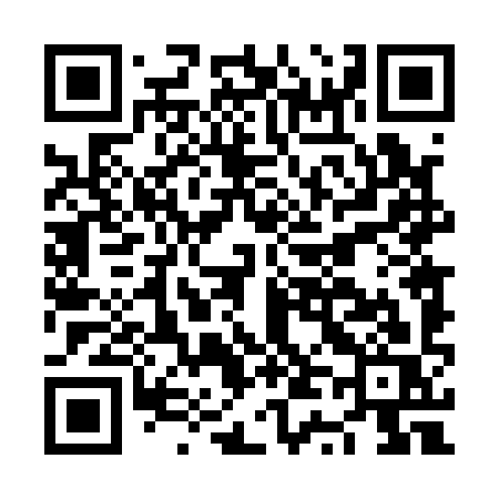 QR code for NT419S