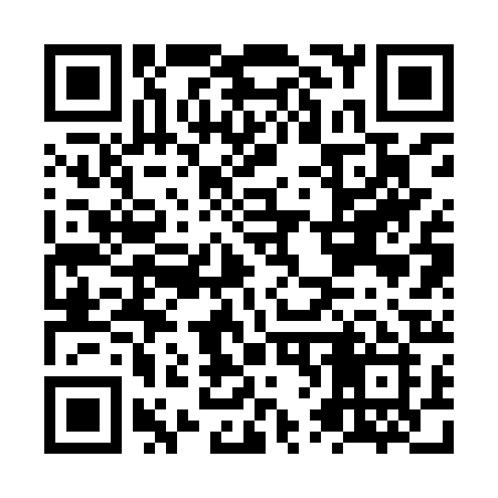 QR code for NV29RI