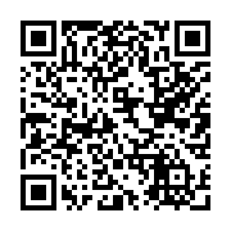 QR code for NV493T