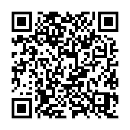 QR code for NX688Q