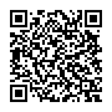 QR code for NY203P