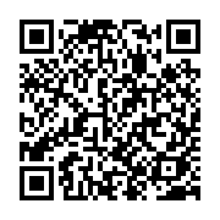 QR code for NZ325H