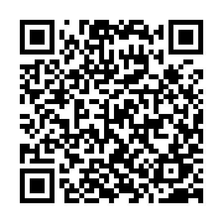 QR code for O0599T