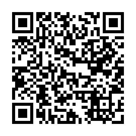 QR code for O313JZ