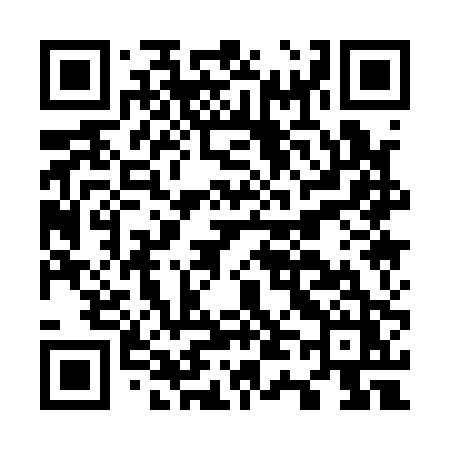 QR code for O4110Z