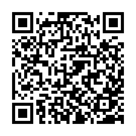 QR code for O419XR