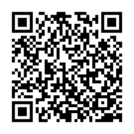 QR code for O8511P