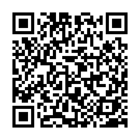 QR code for O9137H