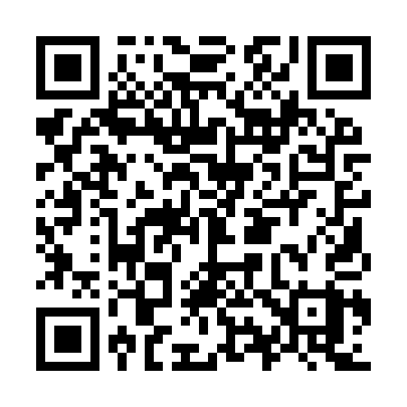 QR code for O919QY