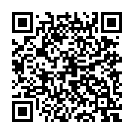 QR code for OG04IN