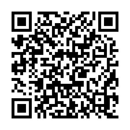 QR code for OG384J