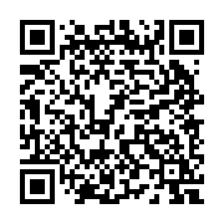 QR code for P0029Y