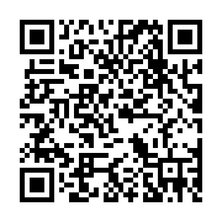 QR code for P0110V
