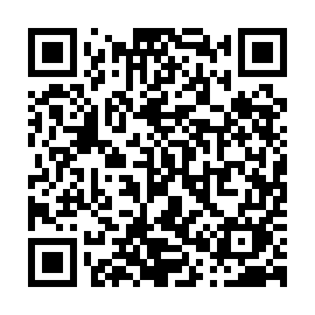 QR code for P011EM