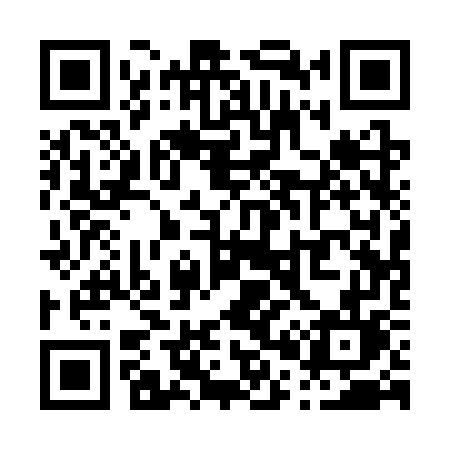QR code for P013WL
