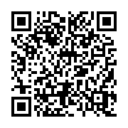 QR code for P018SV
