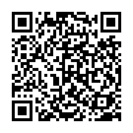 QR code for P01NSI