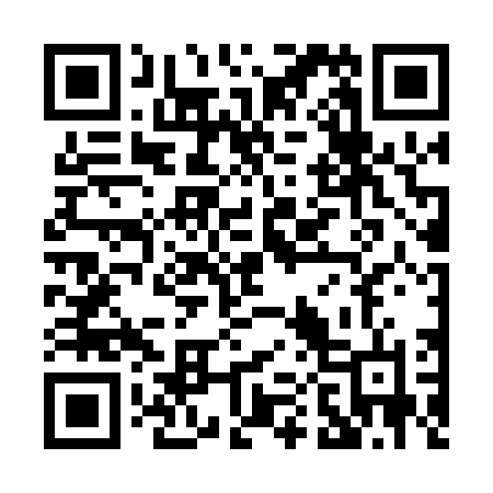 QR code for P0204N