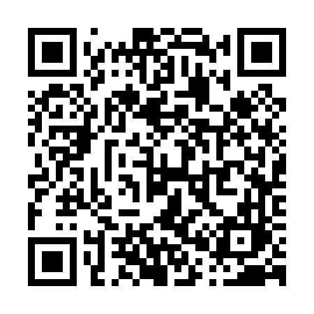 QR code for P0306L