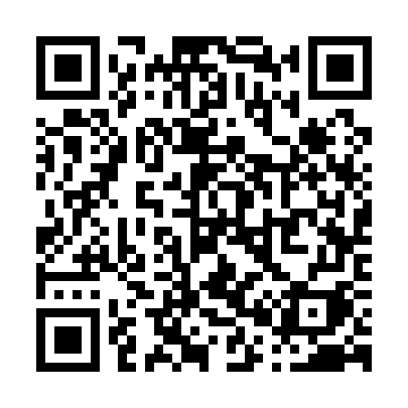 QR code for P0317I