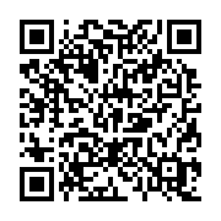 QR code for P0330G