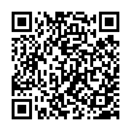 QR code for P0368S