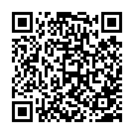 QR code for P0368V