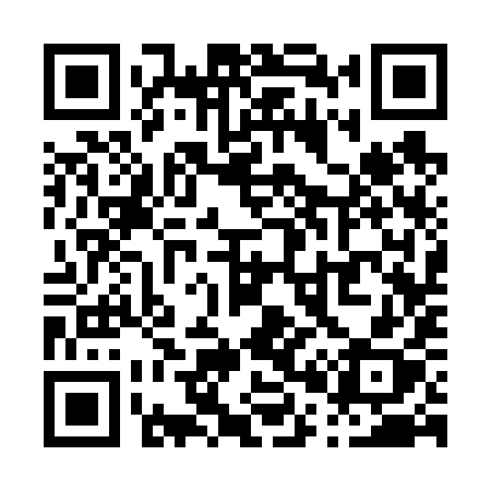 QR code for P0369X