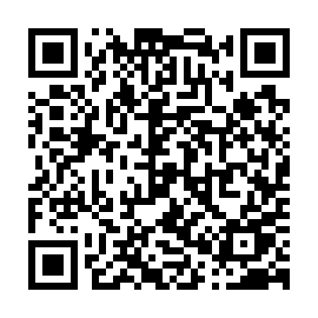 QR code for P0370U