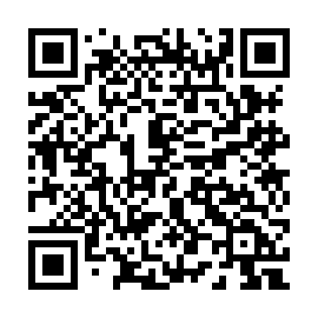 QR code for P038FD